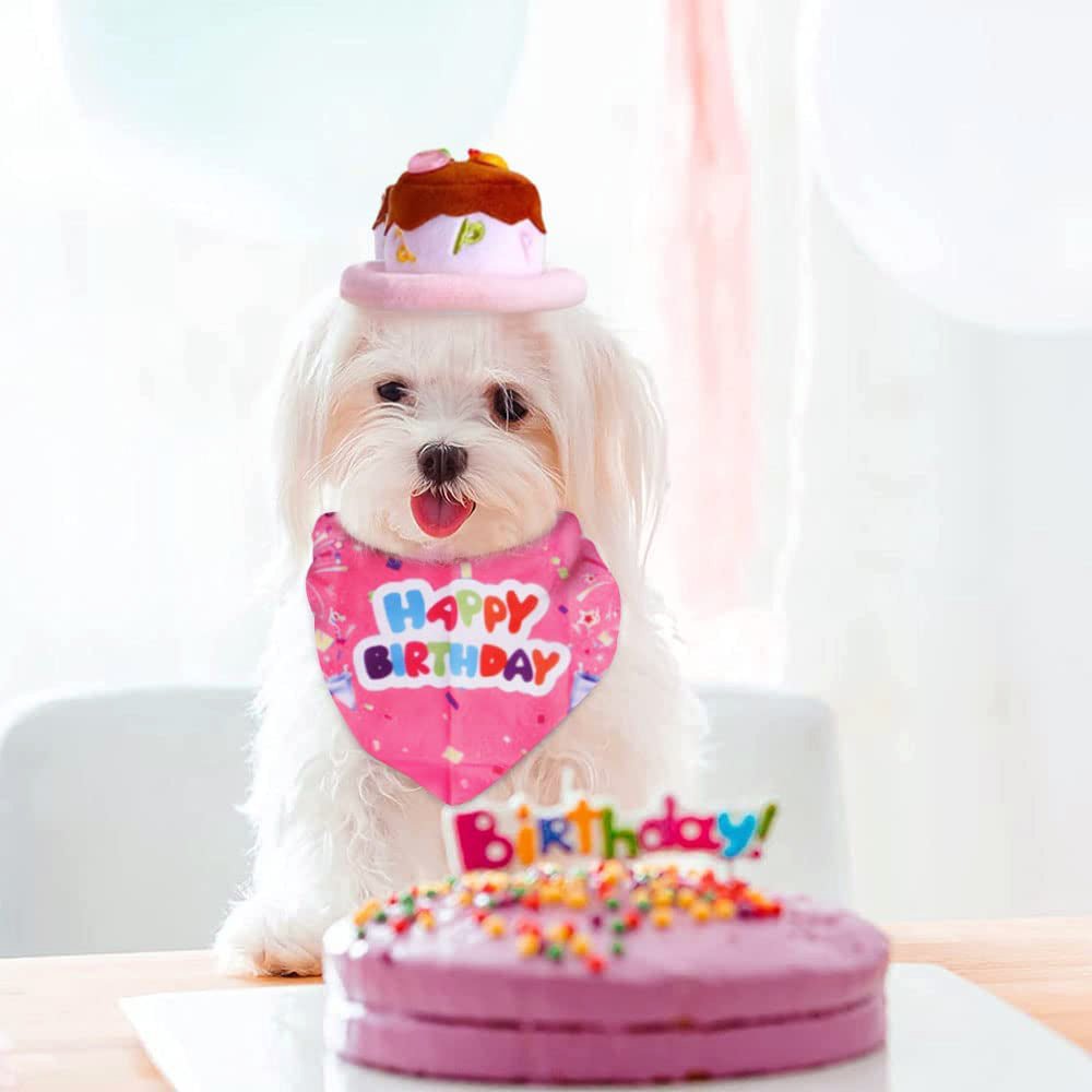 Candy Colored Pet Birthday Dress Up Set