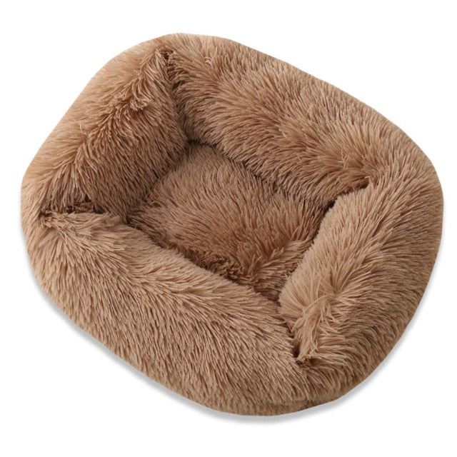 Ultimate Plush Luxurious Comfort Bed