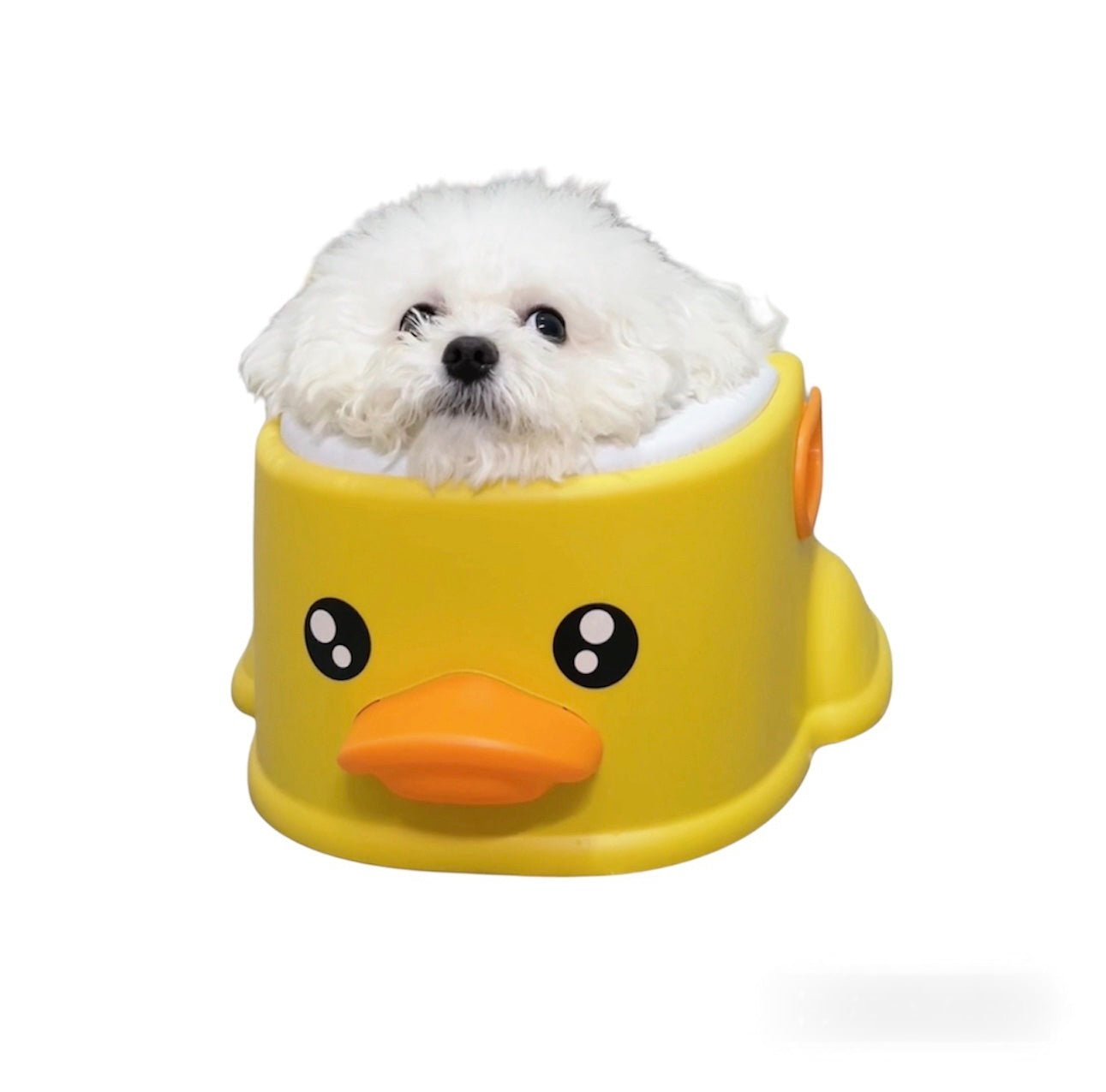 Dog Bathtub for small dog