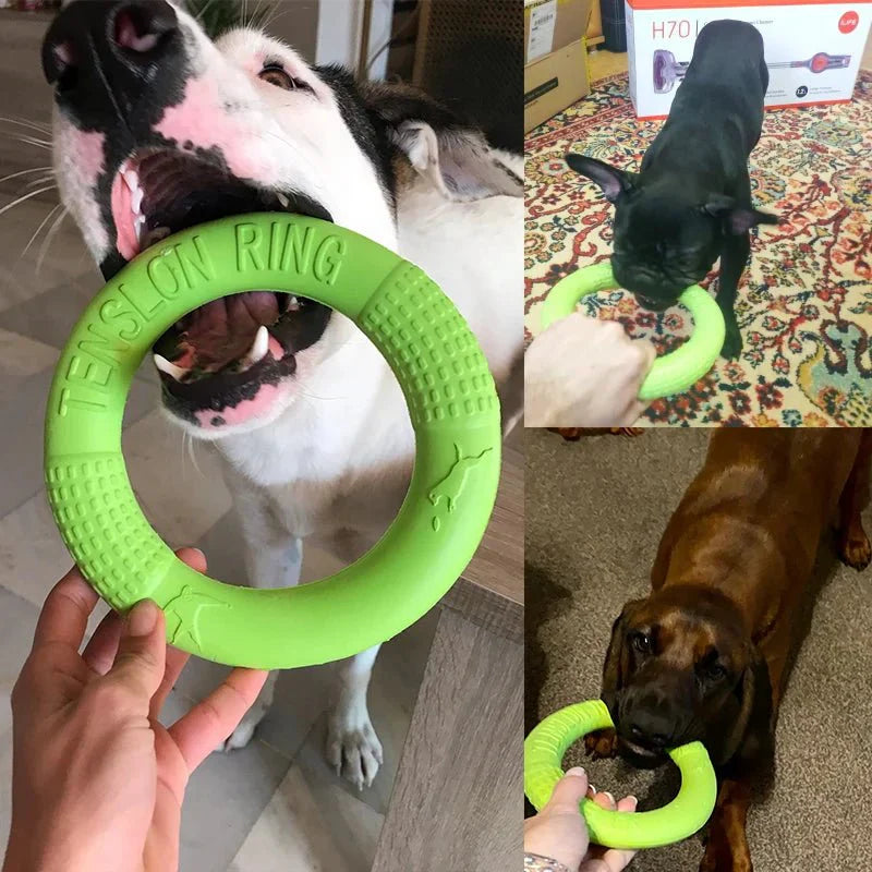Toy Training Ring