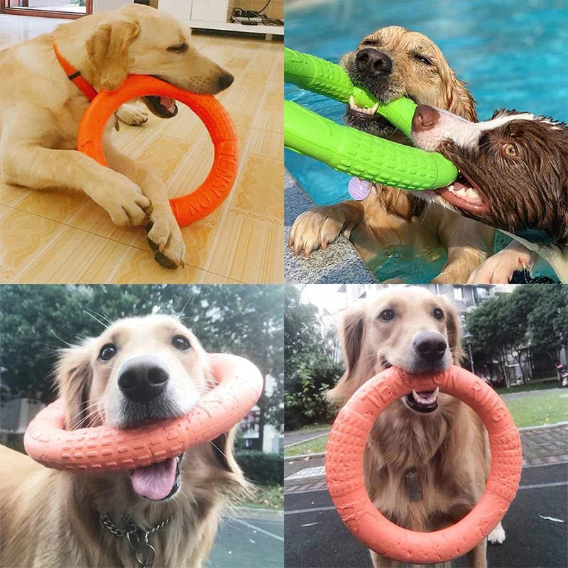 Toy Training Ring