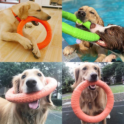 Toy Training Ring