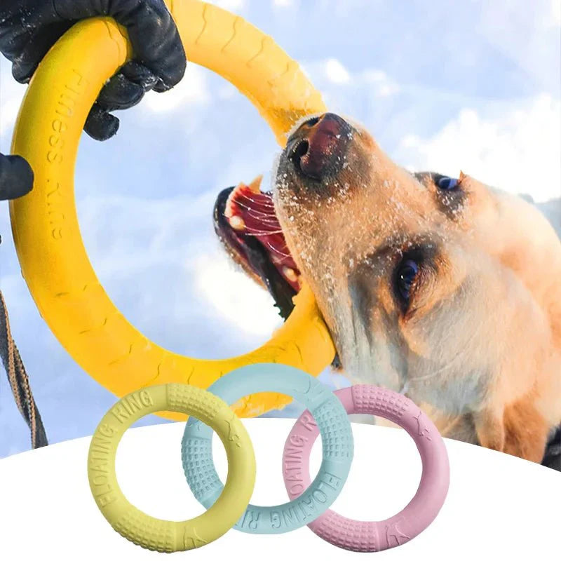 Toy Training Ring