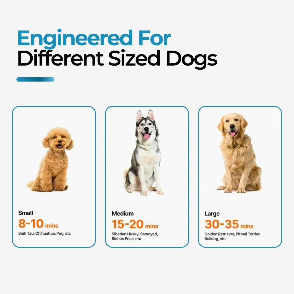 3-in-1 Pet Hair Dryer