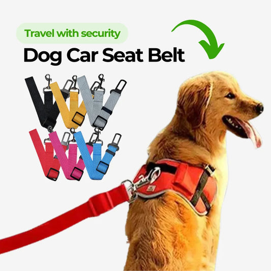 Dog Car Seat Belt
