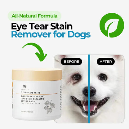 2 in 1 Hair Dryer + Ducky Dog Foam + Eye Tear Stain Remover + Pet Tear Stain Powder + Professional Eye Comb Bundle