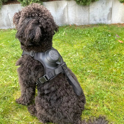 FlexBuddy™ 2 in 1 Harness & Leash