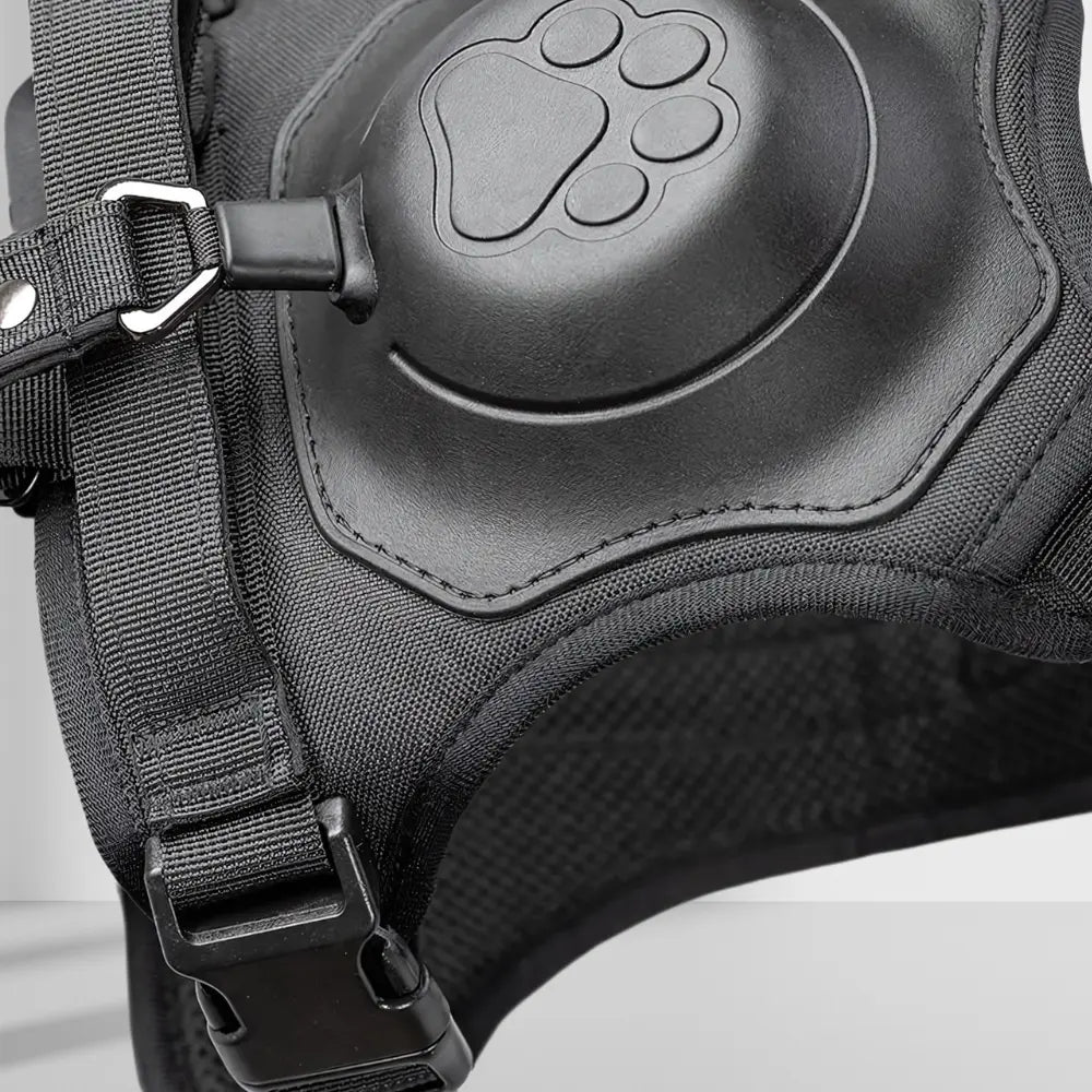 FlexBuddy™ 2 in 1 Harness & Leash