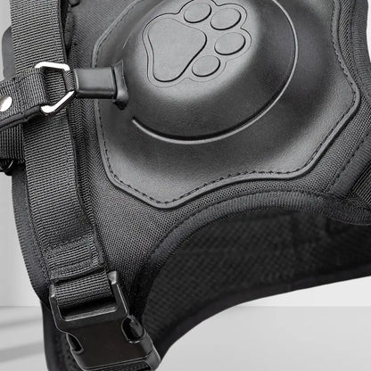 FlexBuddy™ 2 in 1 Harness & Leash