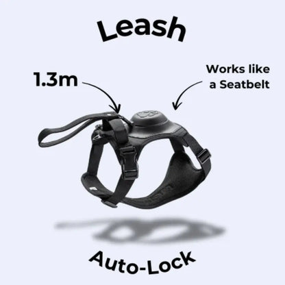 FlexBuddy™ 2 in 1 Harness & Leash