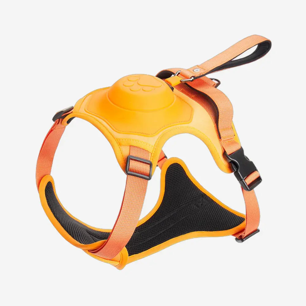 FlexBuddy™ 2 in 1 Harness & Leash