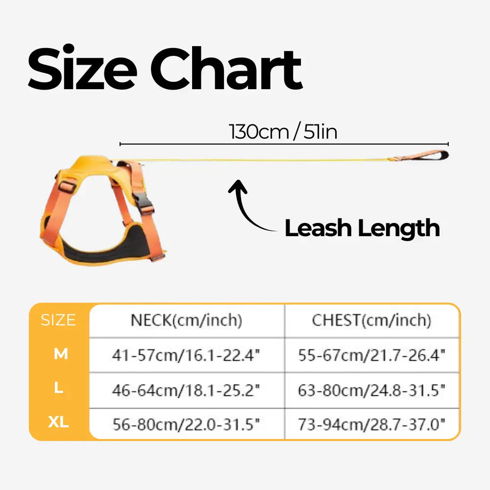 FlexBuddy™ 2 in 1 Harness & Leash