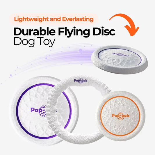 Durable Flying Disc Dog Toy