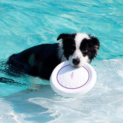 Durable Flying Disc Dog Toy