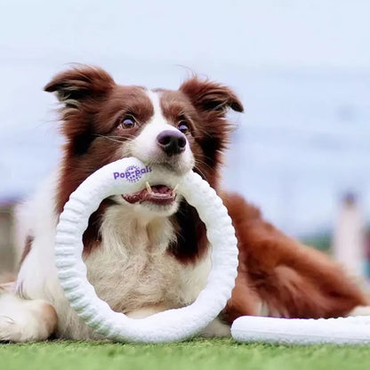 Durable Flying Disc Dog Toy