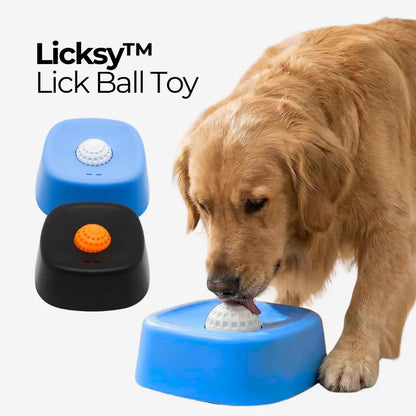 Pet Slow-Feeder Bowl and Lick Ball Toy