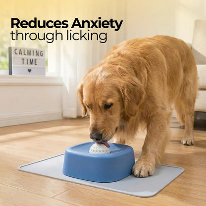 Pet Slow-Feeder Bowl and Lick Ball Toy