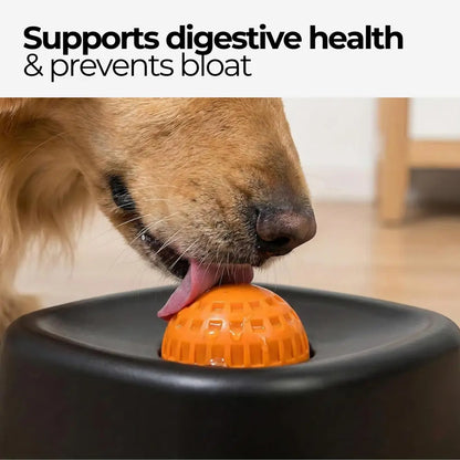 Pet Slow-Feeder Bowl and Lick Ball Toy