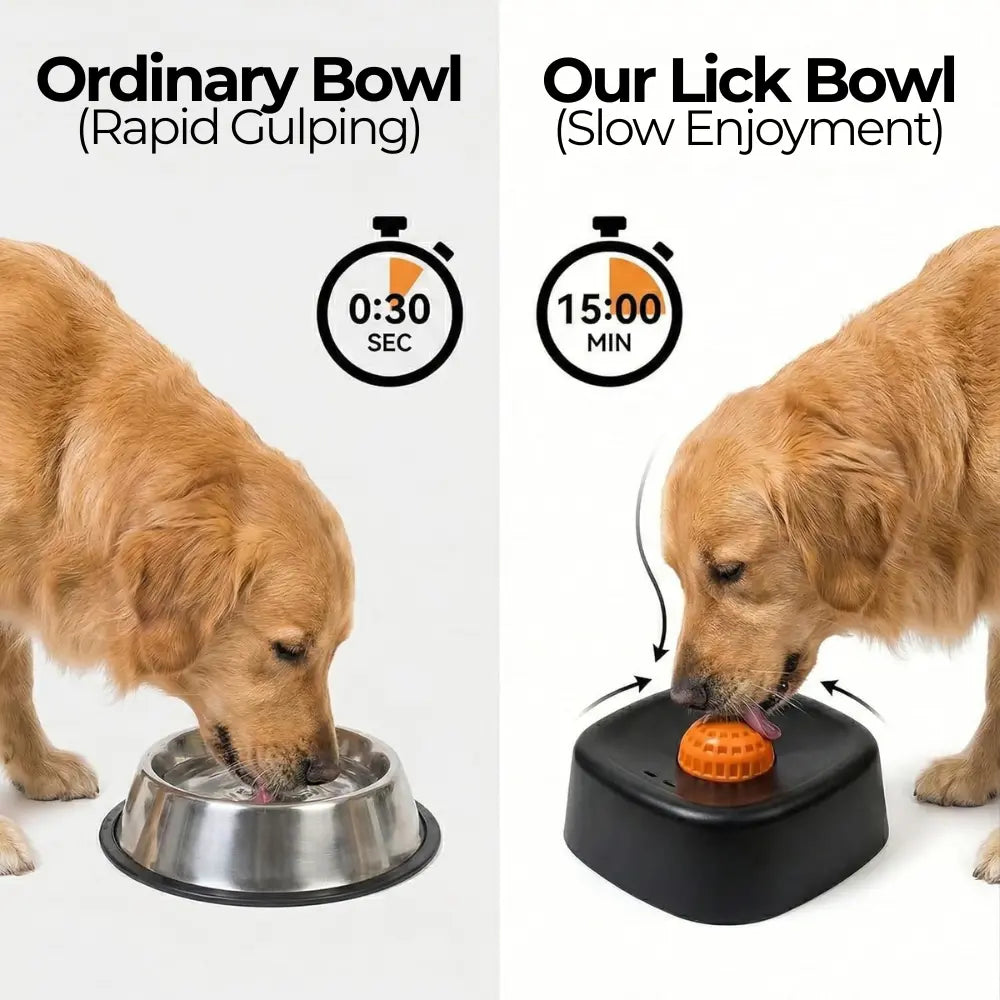 Pet Slow-Feeder Bowl and Lick Ball Toy