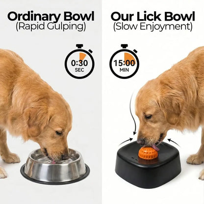 Pet Slow-Feeder Bowl and Lick Ball Toy