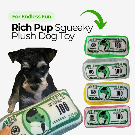 Rich Pup Squeaky Dog Toy