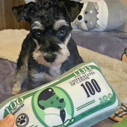 Rich Pup Squeaky Dog Toy