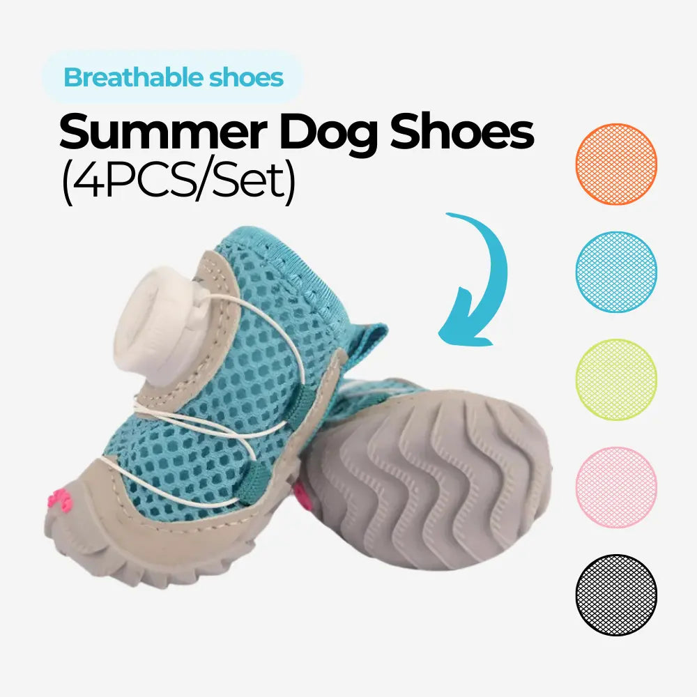 Chaussures d'été pour chien