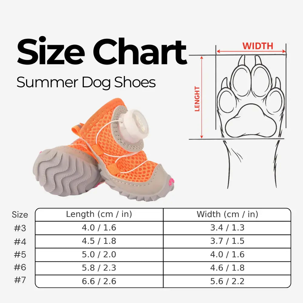 Chaussures d'été pour chien