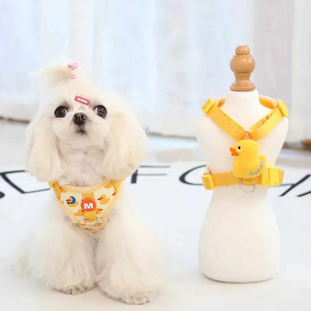 Duck Harness & Leash Set