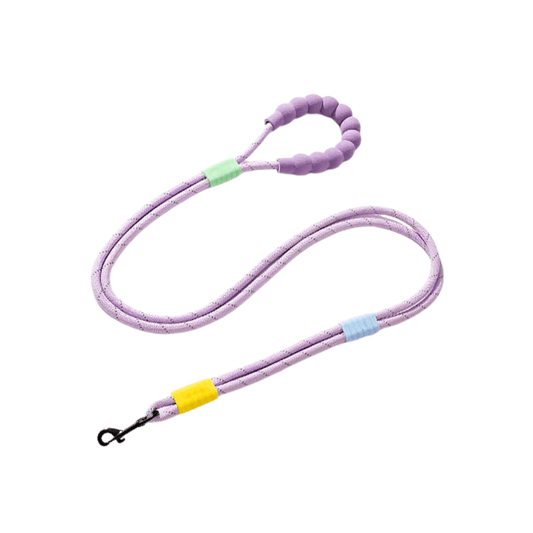 Explosion Proof Punch Cloud Bubble Dog Leash