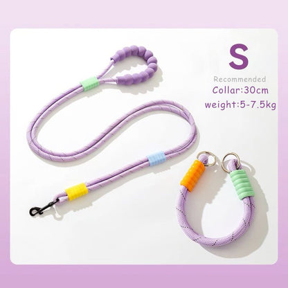 Explosion Proof Punch Cloud Bubble Dog Leash