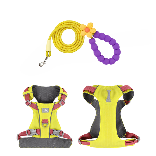 Stylish, cute and internet - famous pet harness