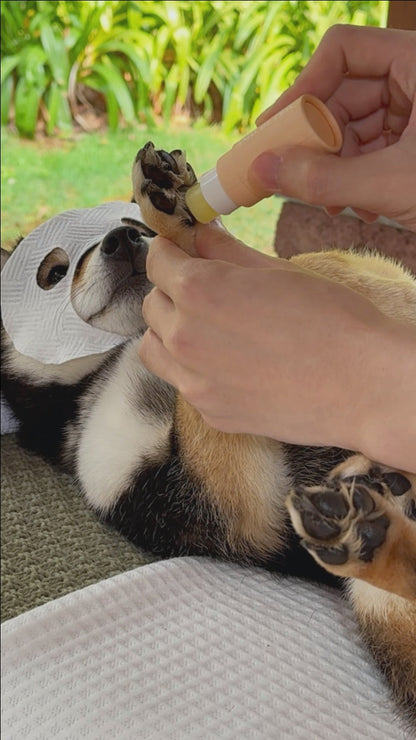 Pet Paw Care Balm (Tube) Mega Bundle