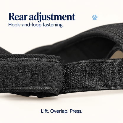 Ear-Open Canvas Pet Visor