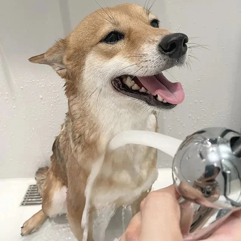 Gentle Shower Head Spray