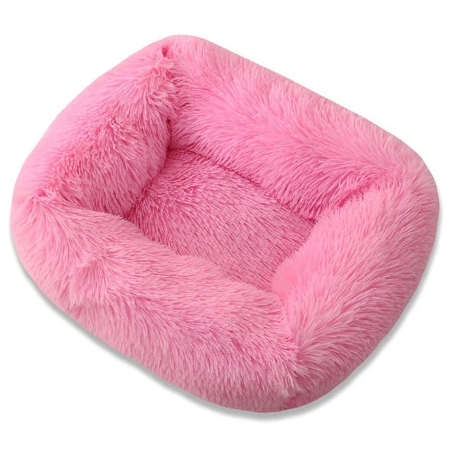 Ultimate Plush Luxurious Comfort Bed