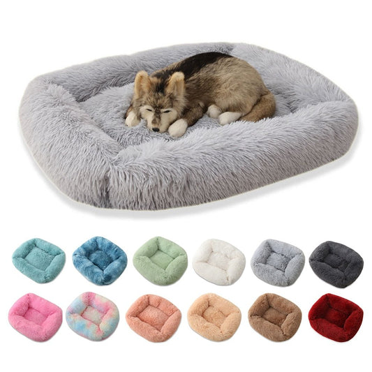 Ultimate Plush Luxurious Comfort Bed