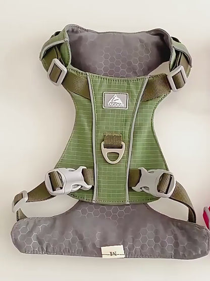 Stylish, cute and internet - famous pet harness