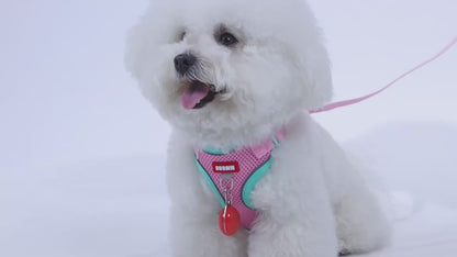 New pet harness and anti-escape dog leash set for outdoor use