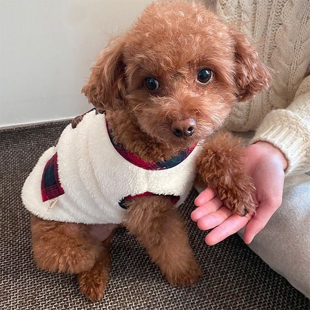 Fleece Dog Vest & Scarf Set