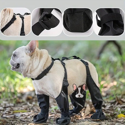Waterproof Leggings Adjustable Paw Protection