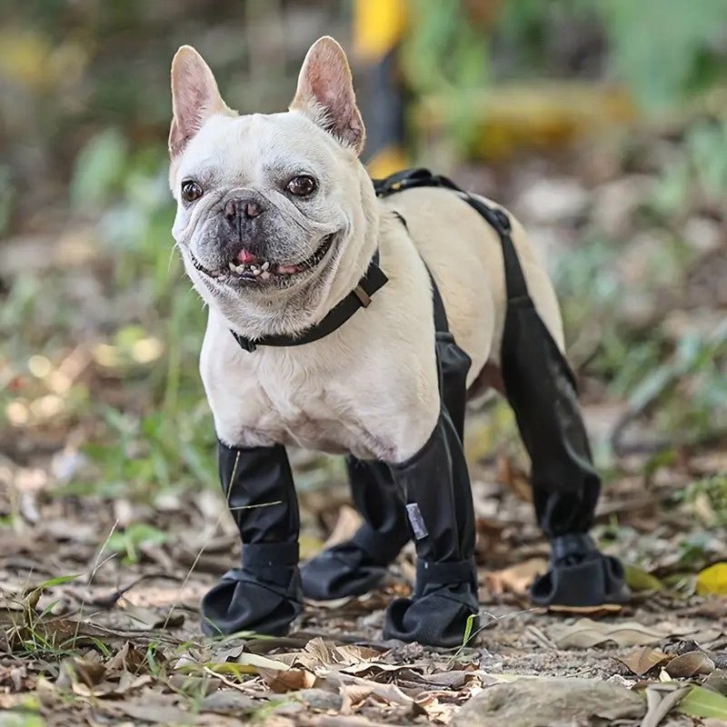 Waterproof Leggings Adjustable Paw Protection